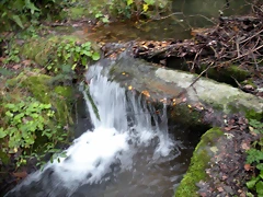 DSCN0996 DSCN0996