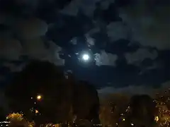 Zacatenco de noche