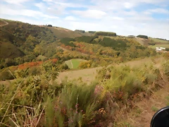 DSCN8554 DSCN8554