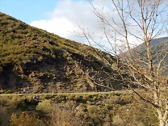 DSCN9652 DSCN9652