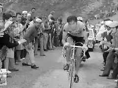 TOUR 1972-MERCKX.