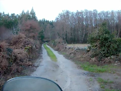 DSCN7239 DSCN7239