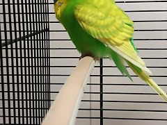 IMG_20190912_185138