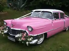 Caddy 54