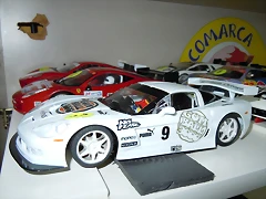 DSCN0376 DSCN0376