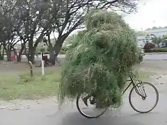 transporte-extremo-bicicleta-01