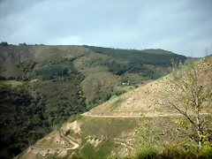 DSCN9443 DSCN9443