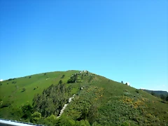 DSCN2297