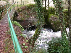 DSCN5786 DSCN5786