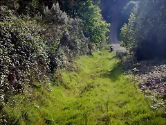 DSCN2100 DSCN2100