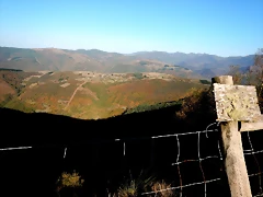 DSCN8568