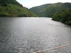 DSCN1732