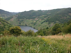 DSCN1769 DSCN1769