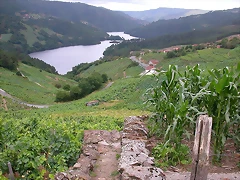 DSCN1770 DSCN1770