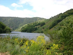 DSCN1718