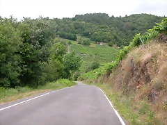 DSCN1763 DSCN1763