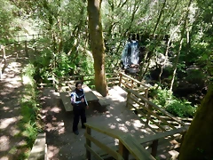 DSCN2257 DSCN2257