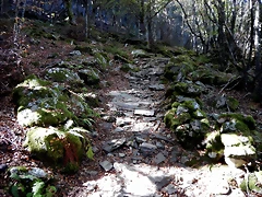 DSCN7941 DSCN7941