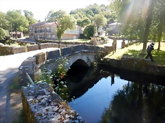 DSCN2133 DSCN2133