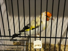 IMG_20170122_134253 IMG_20170122_134253