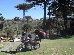 Vacaciones por el sur Neuquino enero 2012 137 - copia Vacaciones por el sur Neuquino enero 2012 137 - copia