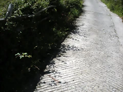 DSCN3837 DSCN3837