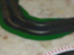 IMAG0058