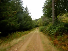 DSCN9942 DSCN9942