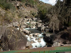 DSCN1956 DSCN1956