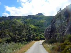 DSCN1580 DSCN1580