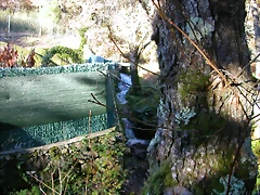 DSCN6647 DSCN6647