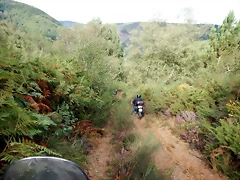 DSCN6919 DSCN6919