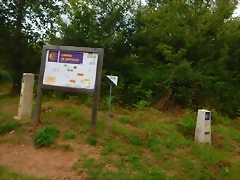 DSCN6671 DSCN6671