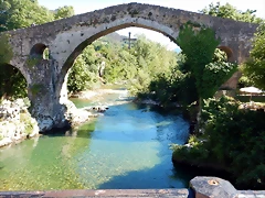 DSCN2794 DSCN2794