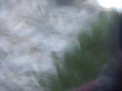 DSCF2065 DSCF2065