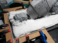 DSCN5611