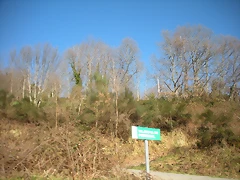 DSCN2983 DSCN2983