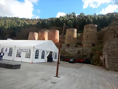 DSCN0824