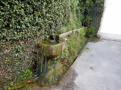 DSCN7245 DSCN7245