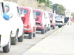 P1070520 P1070520