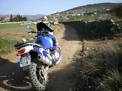 IMGP5664 IMGP5664