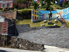 DSCN0733