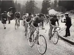 bitossi merckx GIRO1967 balmaniong