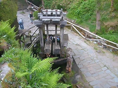 DSCN6770 DSCN6770