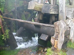 DSCN6789 DSCN6789