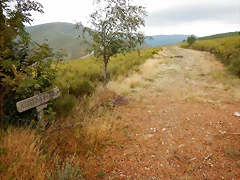 DSCN9904 DSCN9904