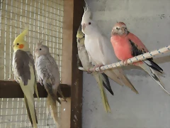 SAM_0418 SAM_0418