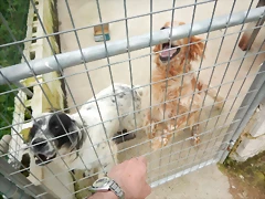 DSCN6526 DSCN6526