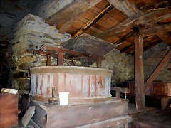 DSCN4552 DSCN4552