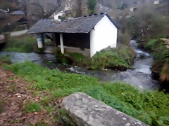DSCN2410 DSCN2410